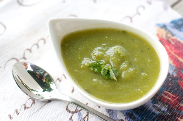 Cream of Zucchini and Mint Soup