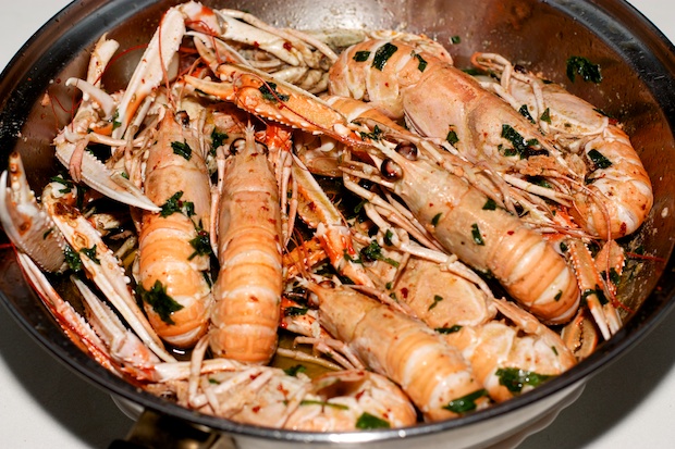 scampi al naturale dell’isola di vis