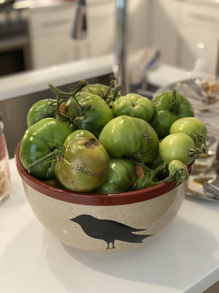 Green Tomatoes Two Ways, Fried & Pickled – we cook at home